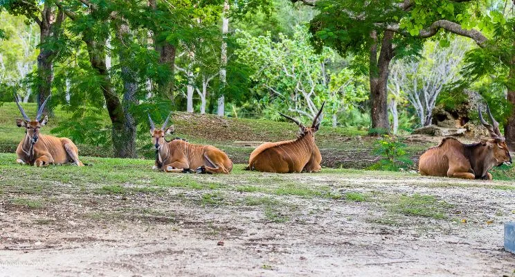 pontos turísticos em miami, parques nacionais