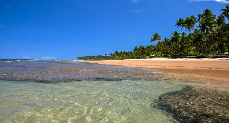 praia do forte bahia