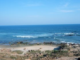 Roteiro Imperdível Como Aproveitar ao Máximo sua Viagem a Fernando de Noronha